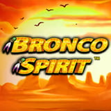 Bronco Spirit