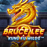 Bruce Lee Kung Fu Wilds