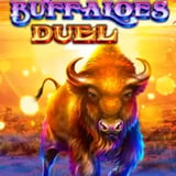 Buffaloes Duel