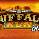 Buffalo Run Quad