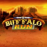 Buffalo Runs