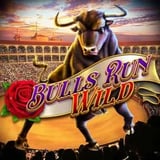 Bulls Run Wild