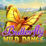 Butterfly Wild Dance