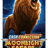 Cash Connection - Moonlight Safari [Linked]