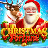 Christmas Fortune