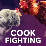 Cockfighting