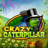 Crazy Caterpillar