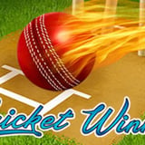 Cricket Winner
