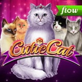 Cutie Cat