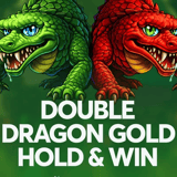 Double Dragon Gold: Hold and Win