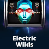 Electric Wilds