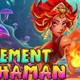 Element Shaman