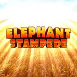 Elephant Stampede 96