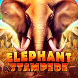Elephant Stampede SE 94