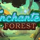 Enchanted Forest