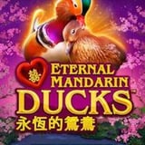 Eternal Mandarin Ducks