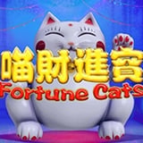 Fortune Cats