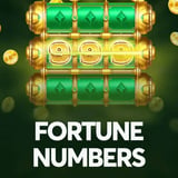 Fortune Numbers
