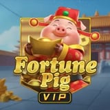 Fortune Pig VIP