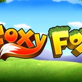 Foxy Fox