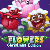 Flowers Christmas Edition