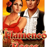 Flamenco Roses