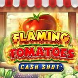 Flaming Tomatoes: Cash Slot