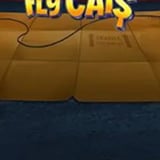 Fly Cat$