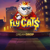 Fly Cats Dream Drop