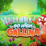 Go High Gallina 96