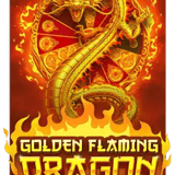 Golden Flaming Dragon Buy Bonus