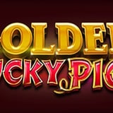 Golden Lucky Pigs