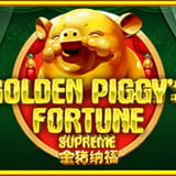 Golden Piggy’s Fortune