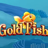 Goldfish