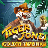 Gold Hit & Link: Tiger Jones