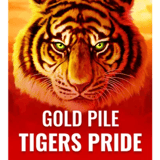 Gold Pile Tigers Pride