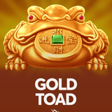 Gold Toad