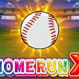 HomeRun X