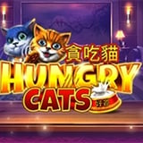 Hungry Cats