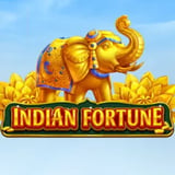 Indian Fortune