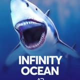 Infinity Ocean