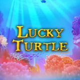 Lucky Turtle