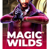 Magic Wilds