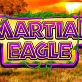 Martial Eagle