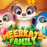 Meerkats' Family