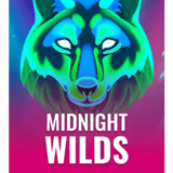 Midnight Wilds