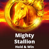 Mighty Stallion Hold&Win