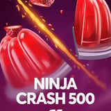 Ninja Crash 500