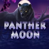 Panther Moon
