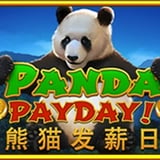 Panda Payday